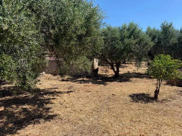 14,077 m² Land for Sale in Kokkino Chorio, Apokoronas — photo 4