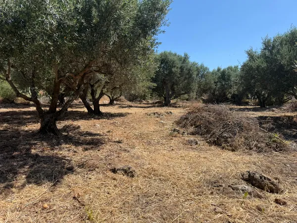 14,077 m² Land for Sale in Kokkino Chorio, Apokoronas — photo 2
