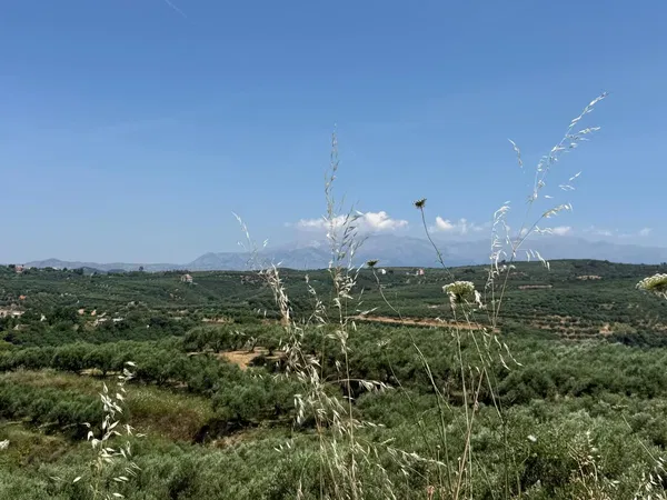 3,185 m² Plot of Land for Sale in Platanias, Chania — photo 5