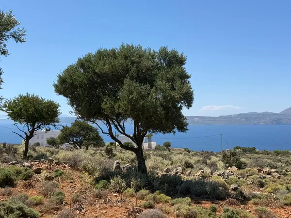 Sea-View 14,105 m² Plot of Land for Sale in Kokkino Chorio, Apokoronas — photo 5