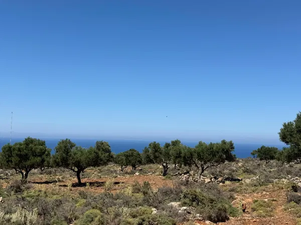 Sea-View 14,105 m² Plot of Land for Sale in Kokkino Chorio, Apokoronas — photo 4