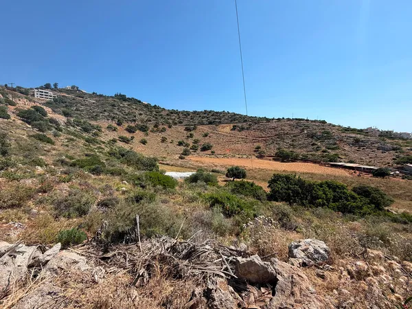 Sea-View 12,500 m² Plot for Sale in Vlites, Chania — photo 3