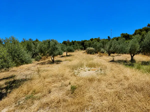 Sea-View 900 m² Land for Sale in Kissamos, Chania — photo 3