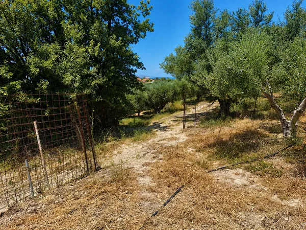 Sea-View 900 m² Land for Sale in Kissamos, Chania — photo 4