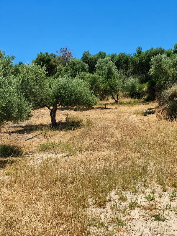 Sea-View 900 m² Land for Sale in Kissamos, Chania — photo 5