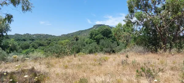 4,320 m² Plot for Sale in Ixia Rhodes, Rhodes — photo 4