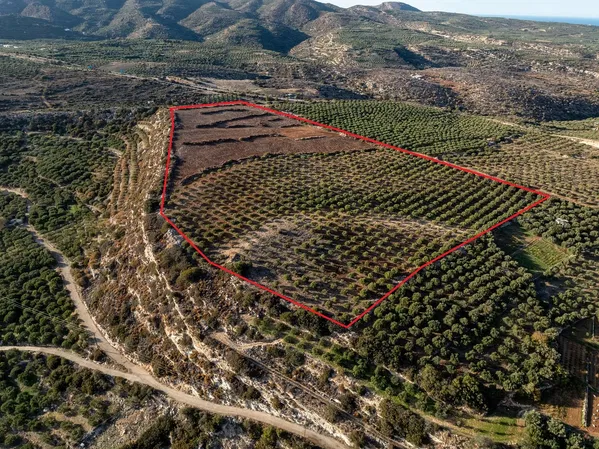 69,250 m² Land for Sale in Sitia, Lasithi — photo 4