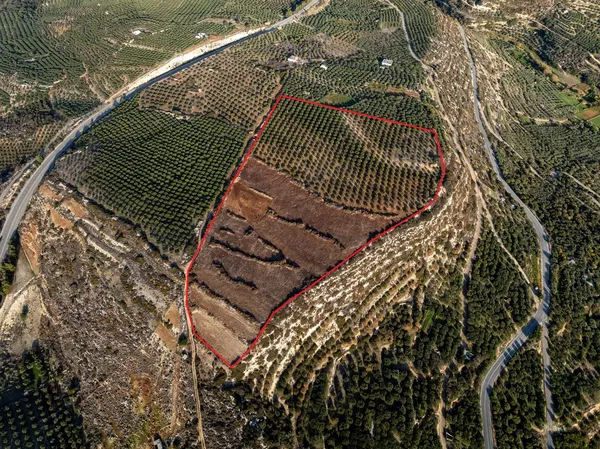 69,250 m² Land for Sale in Sitia, Lasithi — photo 5