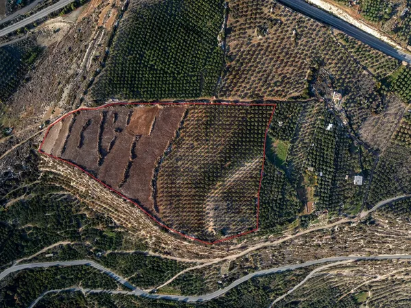 69,250 m² Land for Sale in Sitia, Lasithi — photo 3