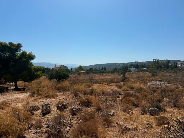 6,200 m² Plot of Land for Sale in Pithari, Akrotiri — photo 4