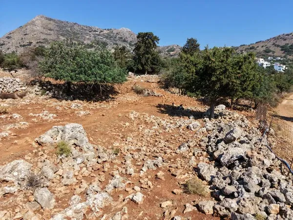 2,003 m² Plot for Sale in Kampia, Apokoronas — photo 3