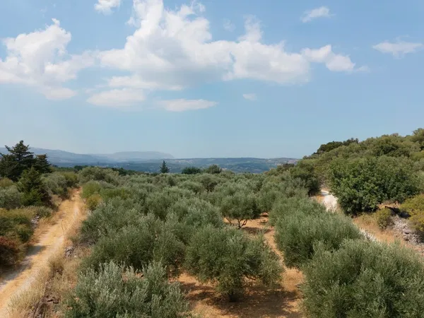 4,852 m² Plot for Sale in Alikambos, Apokoronas — photo 2
