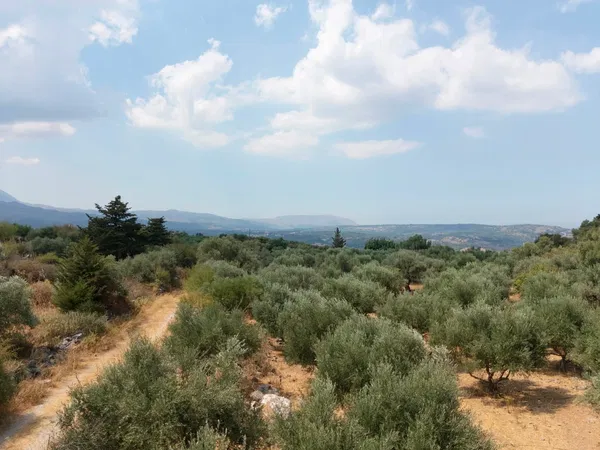 4,852 m² Plot for Sale in Alikambos, Apokoronas — photo 3