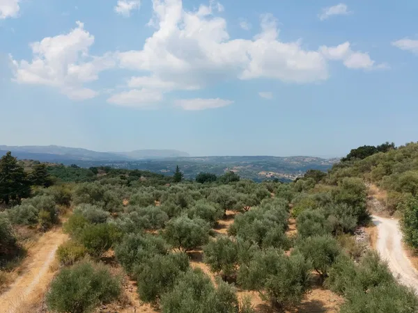 4,852 m² Plot for Sale in Alikambos, Apokoronas — photo 4