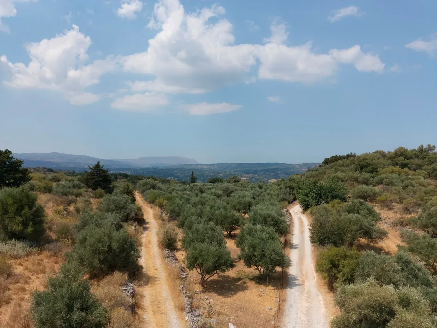 4,852 m² Plot for Sale in Alikambos, Apokoronas