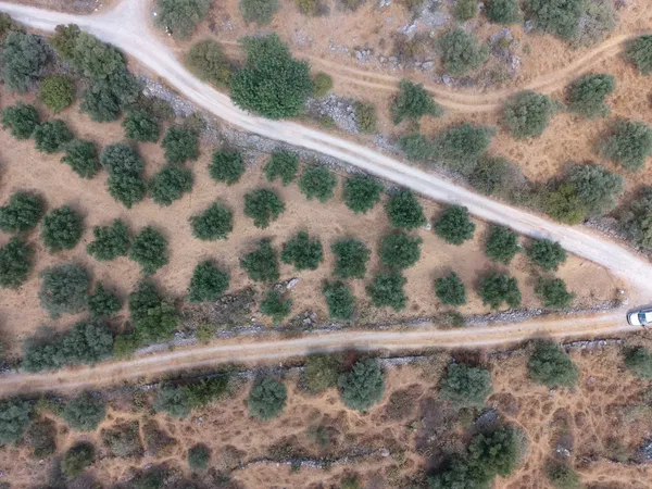 4,852 m² Plot for Sale in Alikambos, Apokoronas — photo 5