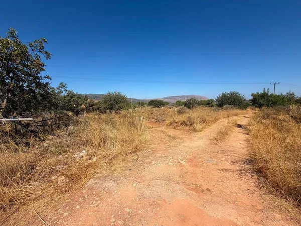 42,026 m² Plot of Land for Sale in Agioi Pantes Apokoras, Apokoronas — photo 2