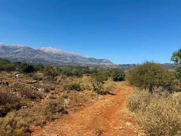 42,026 m² Plot of Land for Sale in Agioi Pantes Apokoras, Apokoronas — photo 5