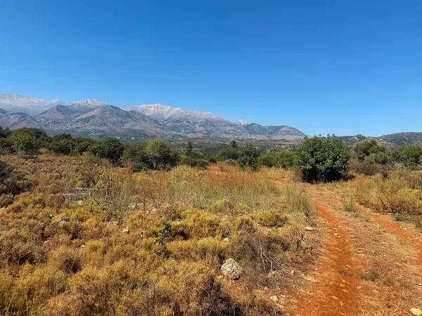 42,026 m² Plot of Land for Sale in Agioi Pantes Apokoras, Apokoronas — photo 4