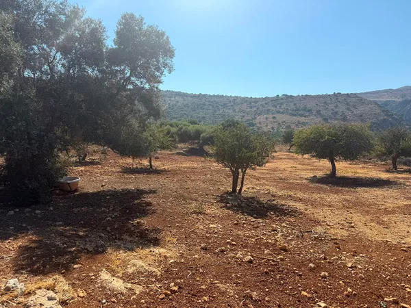 Sea-View 19,087 m² Plot for Sale in Stylos, Apokoronas — photo 3