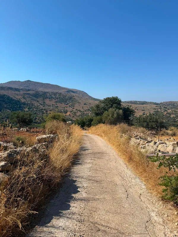 Sea-View 19,087 m² Plot for Sale in Stylos, Apokoronas — photo 4