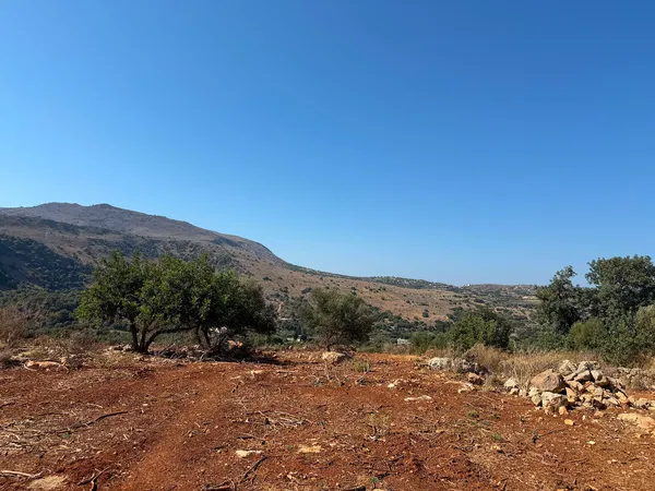 Sea-View 19,087 m² Plot for Sale in Stylos, Apokoronas — photo 5