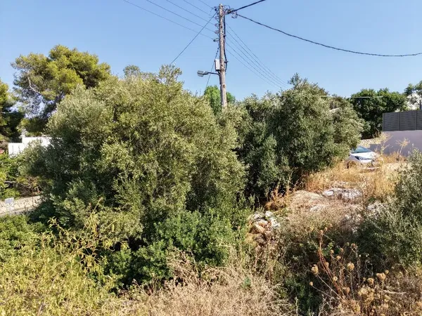 Seafront 438 m² Plot of Land for Sale in Kounoupidiana, Akrotiri — photo 4