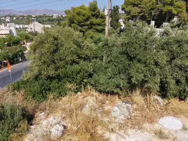 Seafront 438 m² Plot of Land for Sale in Kounoupidiana, Akrotiri — photo 3