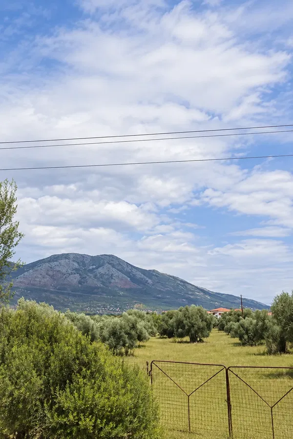 Plot of Land for Sale in Eretria, Evia — photo 3