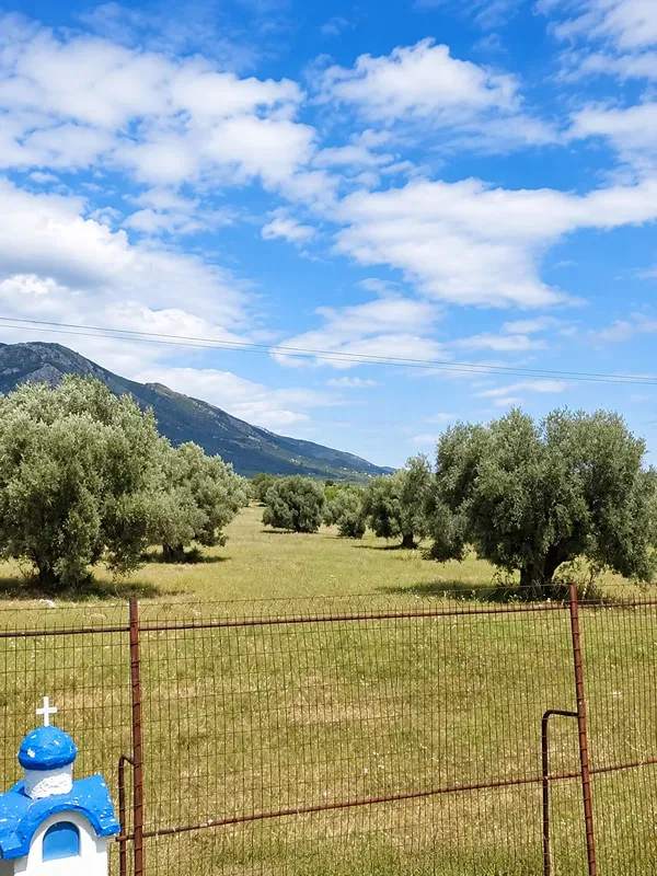 Plot of Land for Sale in Eretria, Evia — photo 2