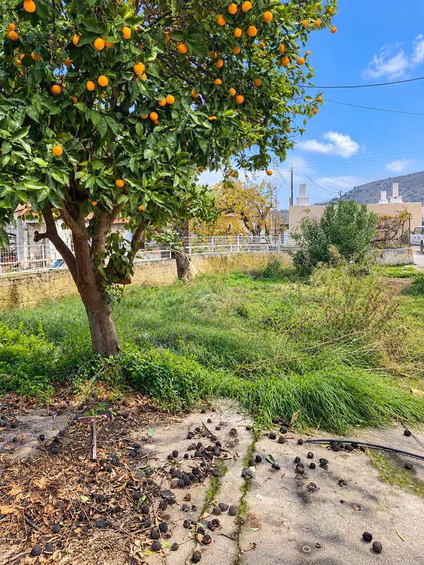 120 m² Two-Bedroom Villa for Sale in Rhodes, Dodecanese Islands — photo 4