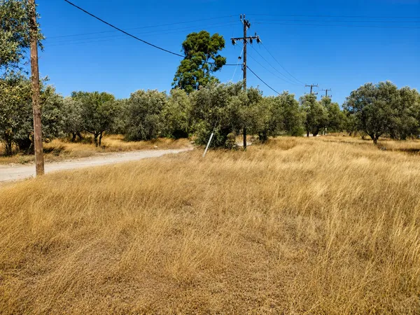 1,798 m² Plot of Land for Sale in Afantou Rhodes, Rhodes — photo 5