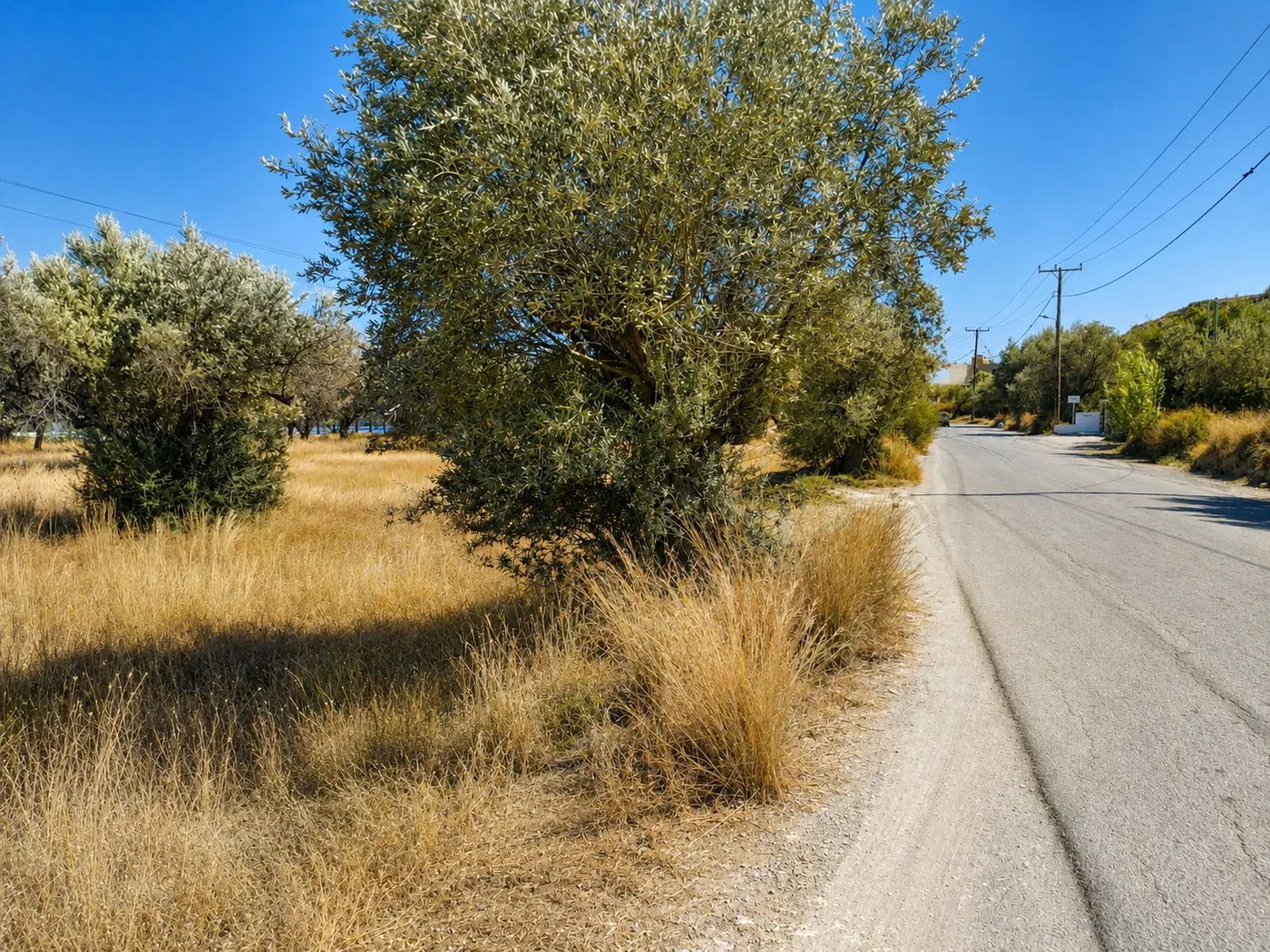 1,798 m² Plot of Land for Sale in Afantou Rhodes, Rhodes