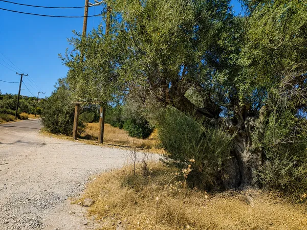 1,798 m² Plot of Land for Sale in Afantou Rhodes, Rhodes — photo 2