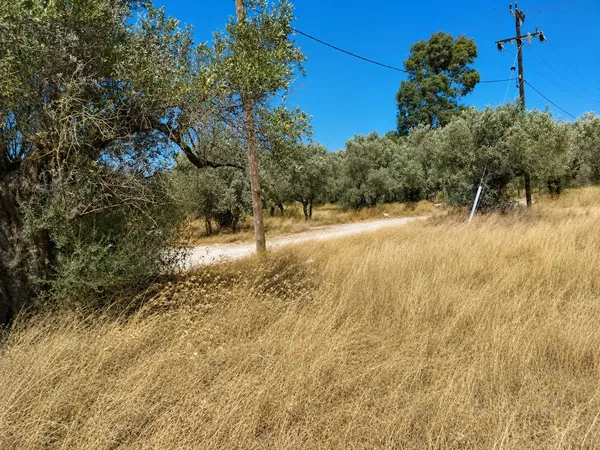 1,798 m² Plot of Land for Sale in Afantou Rhodes, Rhodes — photo 3