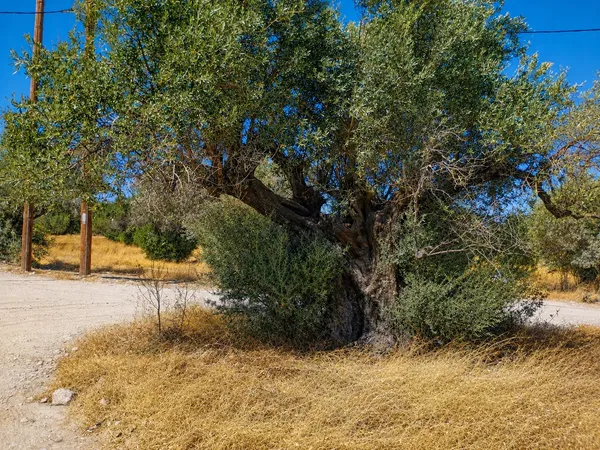 1,798 m² Plot of Land for Sale in Afantou Rhodes, Rhodes — photo 4