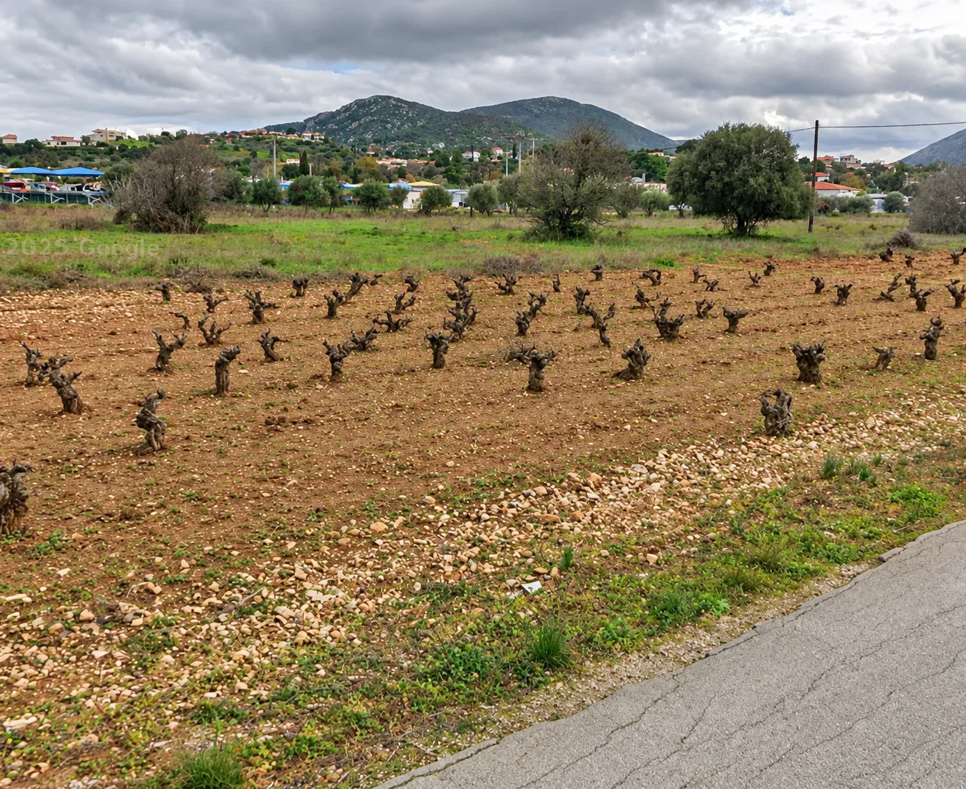 13,970 m² Land for Rent in Porto Rafti, Attica