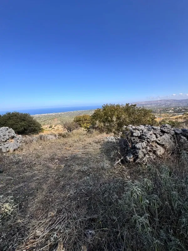 7,700 m² Plot of Land for Sale in Georgioupolis, Apokoronas — photo 5