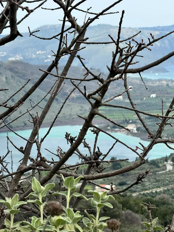 7,700 m² Plot of Land for Sale in Georgioupolis, Apokoronas — photo 2