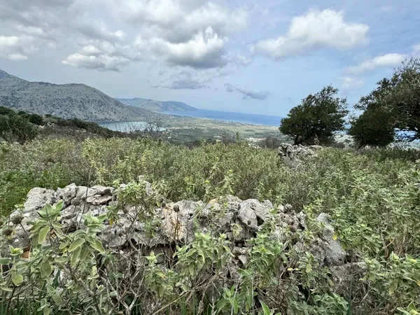 7,700 m² Plot of Land for Sale in Georgioupolis, Apokoronas — photo 3