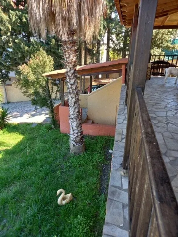 Two-Bedroom Villa for Sale in Loutraki - Perachora, Loutraki — photo 4