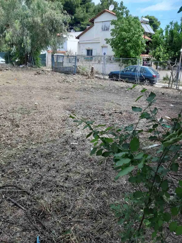 432 m² Plot for Sale in Artemida, Athens Eastern Suburbs — photo 2