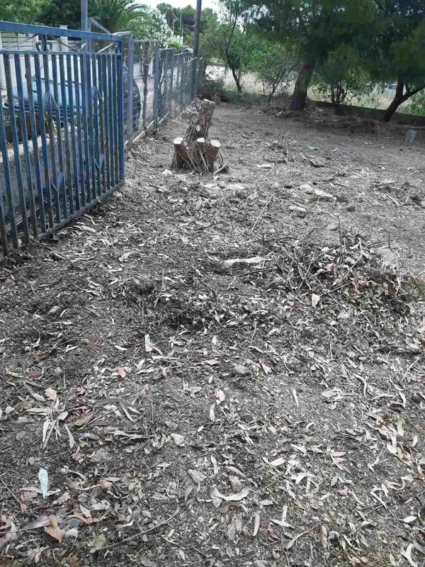 432 m² Plot for Sale in Artemida, Athens Eastern Suburbs — photo 3