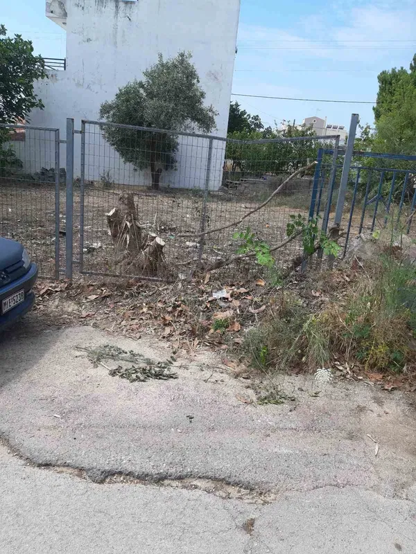 432 m² Plot for Sale in Artemida, Athens Eastern Suburbs