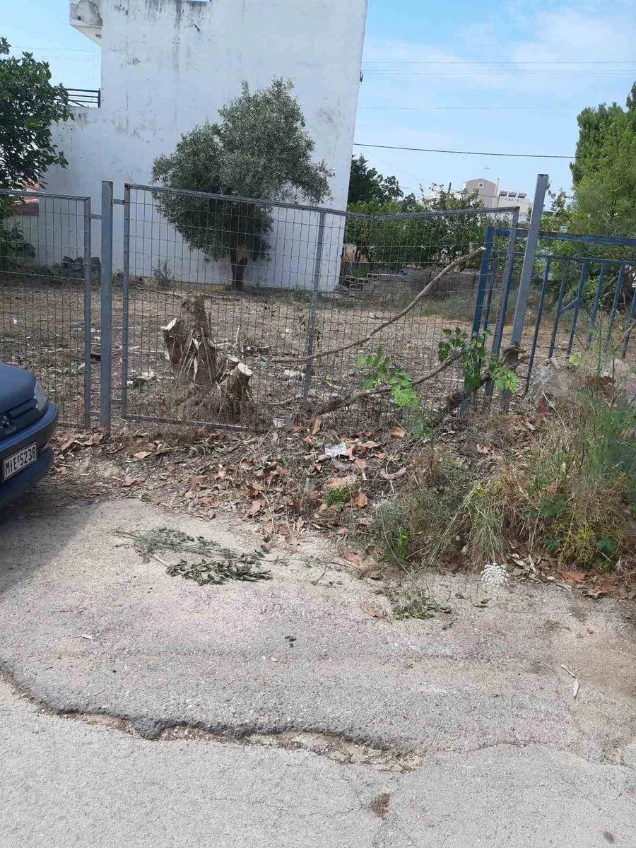 432 m² Plot for Sale in Artemida, Athens Eastern Suburbs