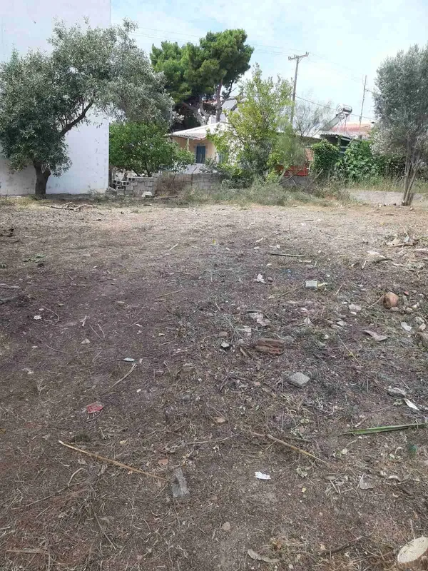 432 m² Plot for Sale in Artemida, Athens Eastern Suburbs — photo 4