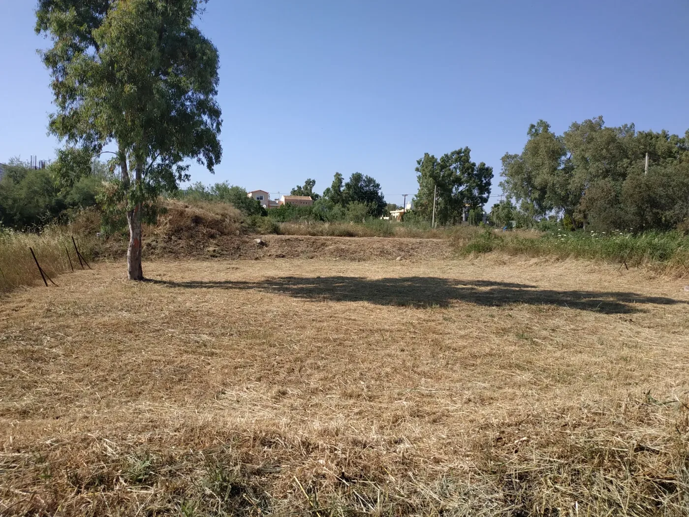 704 m² Plot for Sale in Marathonas, Athens Eastern Suburbs