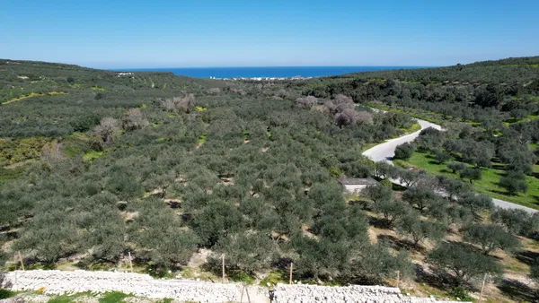Four-Bedroom Villa for Sale in Xamoudochori, Platanias — photo 3