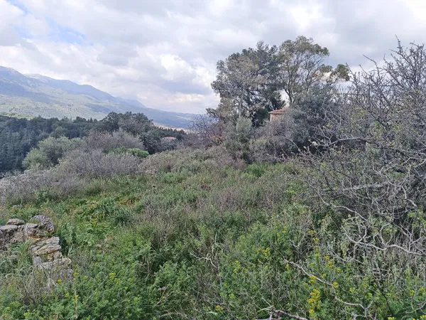 980 m² Land for Sale in Alikampos, Apokoronas — photo 5