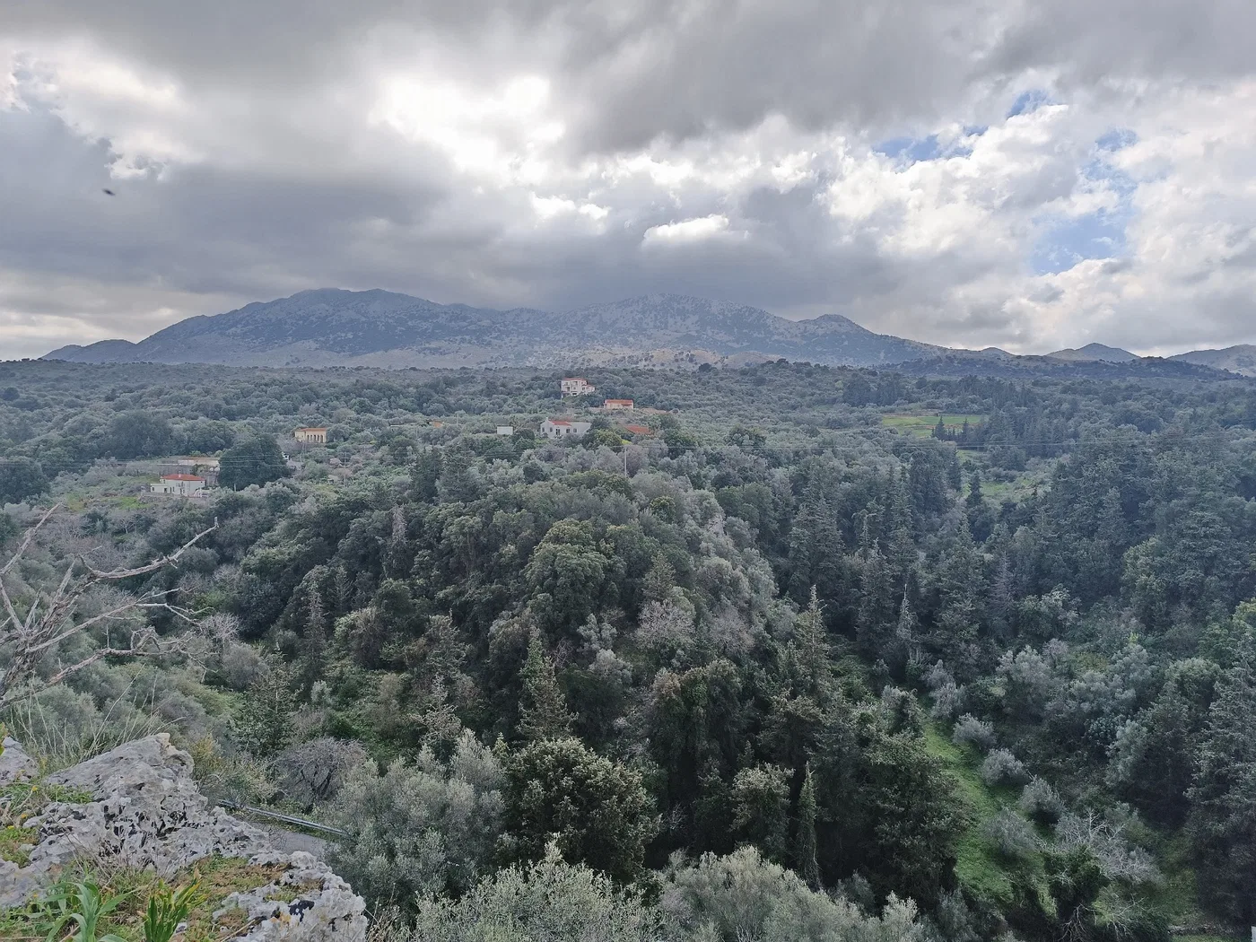 980 m² Land for Sale in Alikampos, Apokoronas